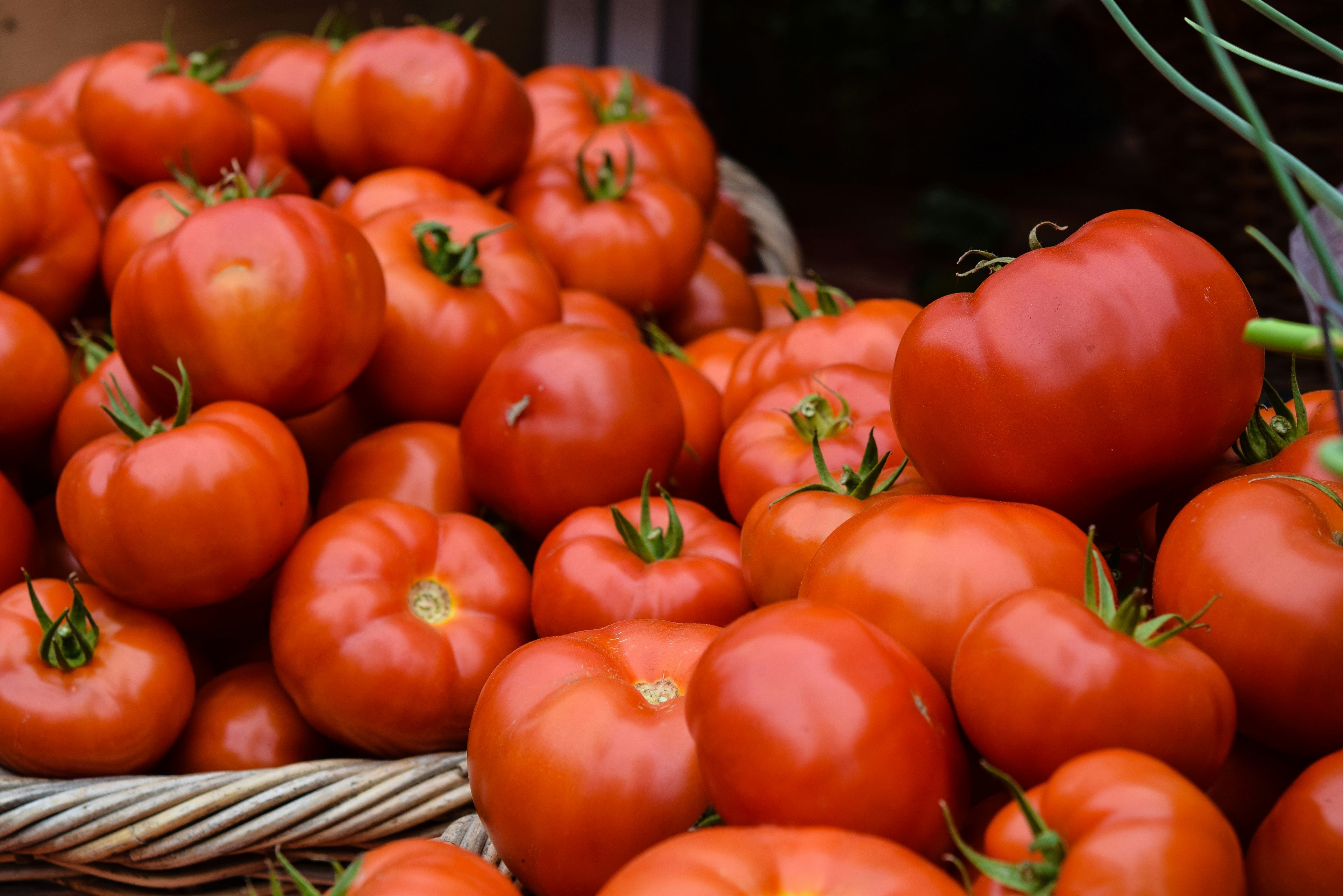 TOMATO JAM