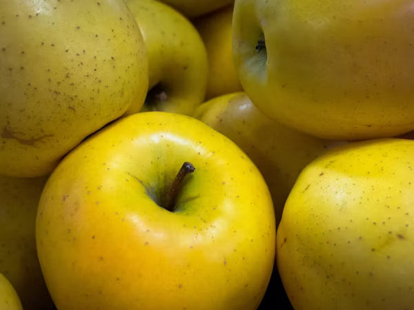 Apple Golden Delicious