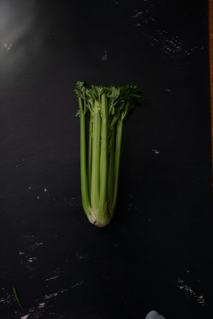TABLE CELERY BUNCH