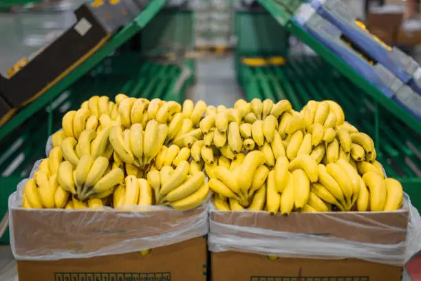 Banana