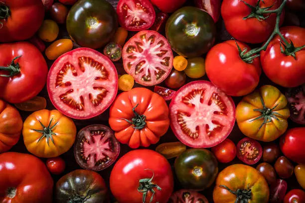 Tomato Medley Mix Pkt