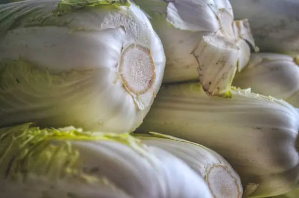 Chinese Cabbage