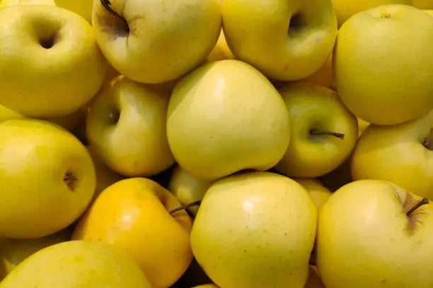 Apple Golden Delicious