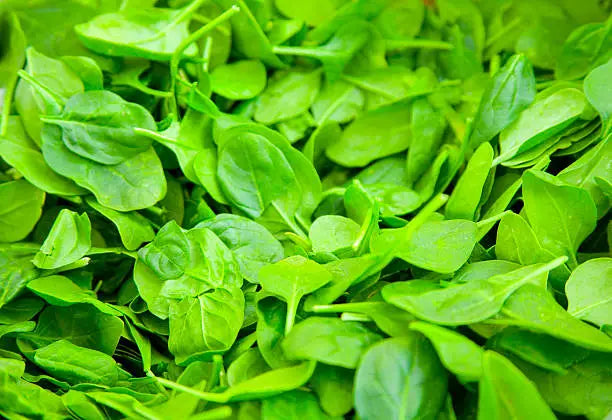 Baby Spinach Pkt 100G