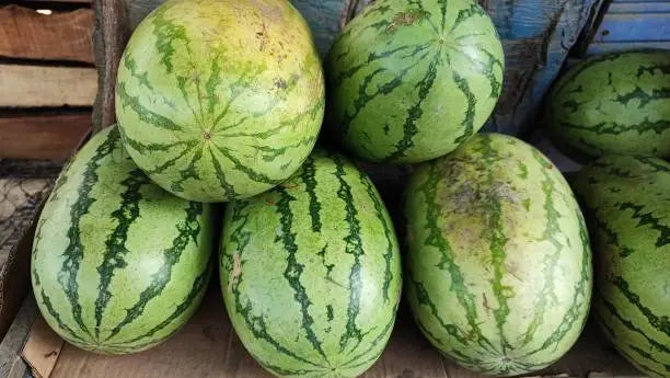 Watermelon