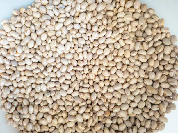 Bean Top&amp;Tail