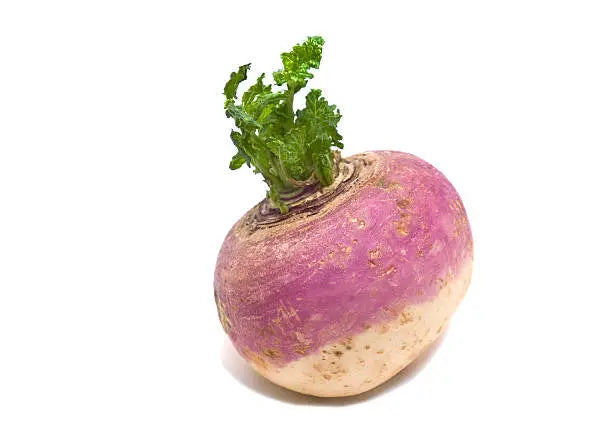 Turnip Pkt