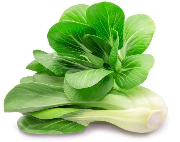 Baby Bok Choi Pkt