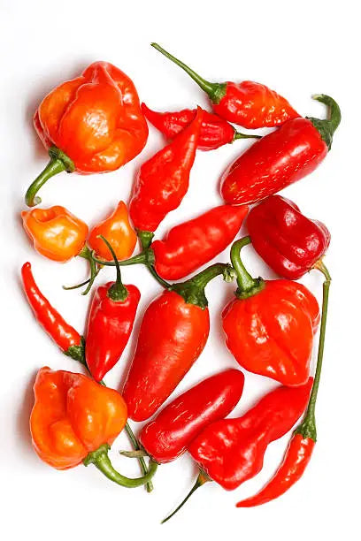Chillies Habanero