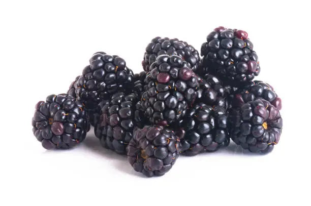 Blackberries Pkt