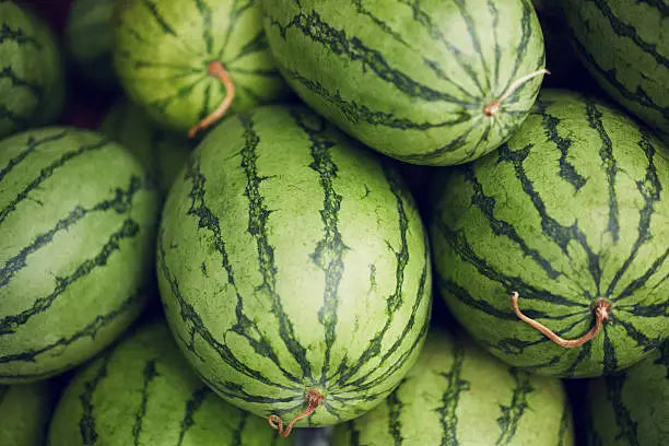 Sweet Melon Balls