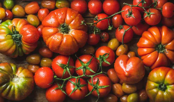 Tomato Medley Mix