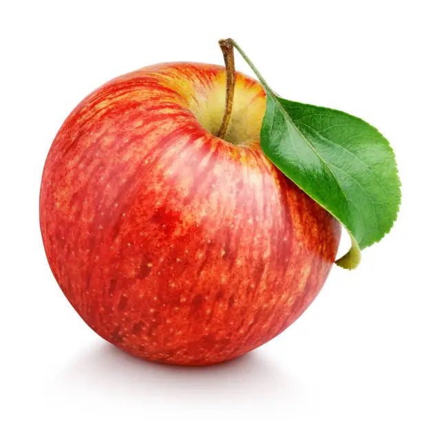 Apple Top Red Econo Pkt
