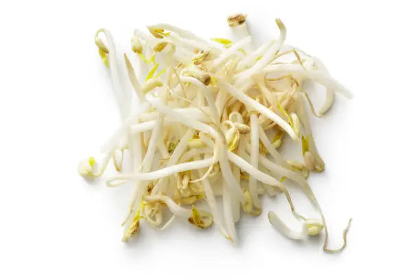 Bean Sprouts Pkt