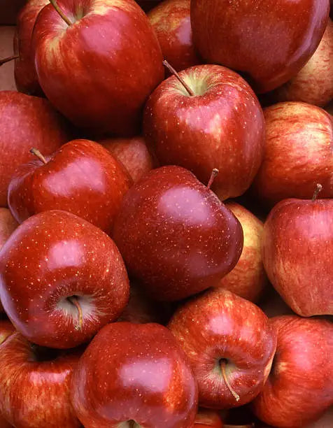 Apple Starking Econo 1.5Kg Pkt