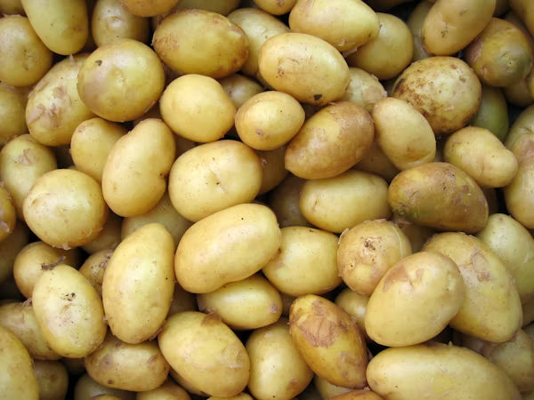 Baby Potatoes