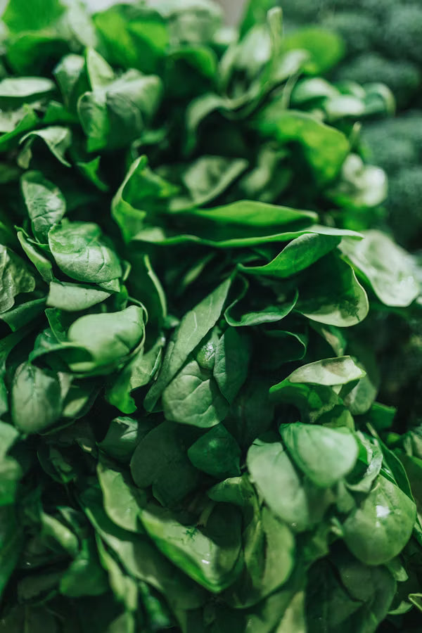Spinach Deveined