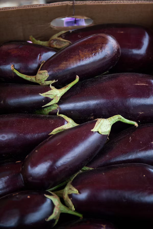 Brinjal