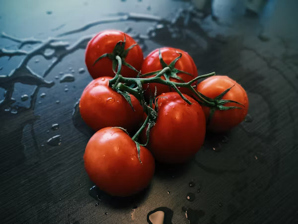 Tomato Romanita