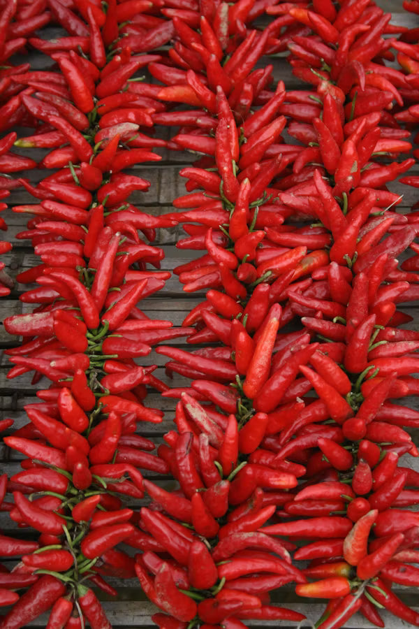 Chillies Red