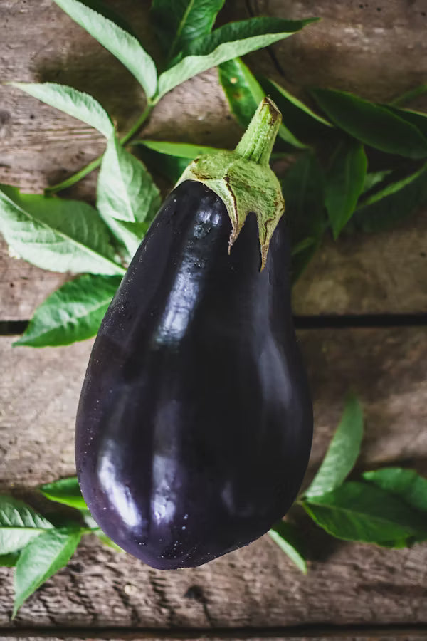 Baby Brinjal
