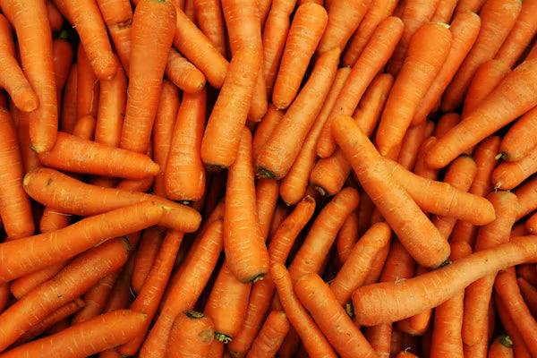 Carrot 10Kg
