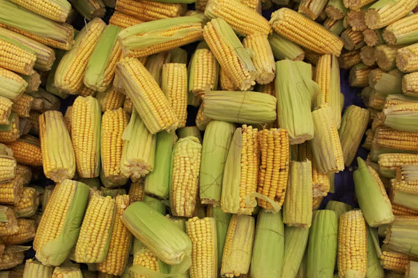 Sweet Corn Pkt (4&