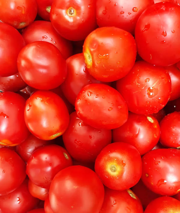 Tomato Rosa