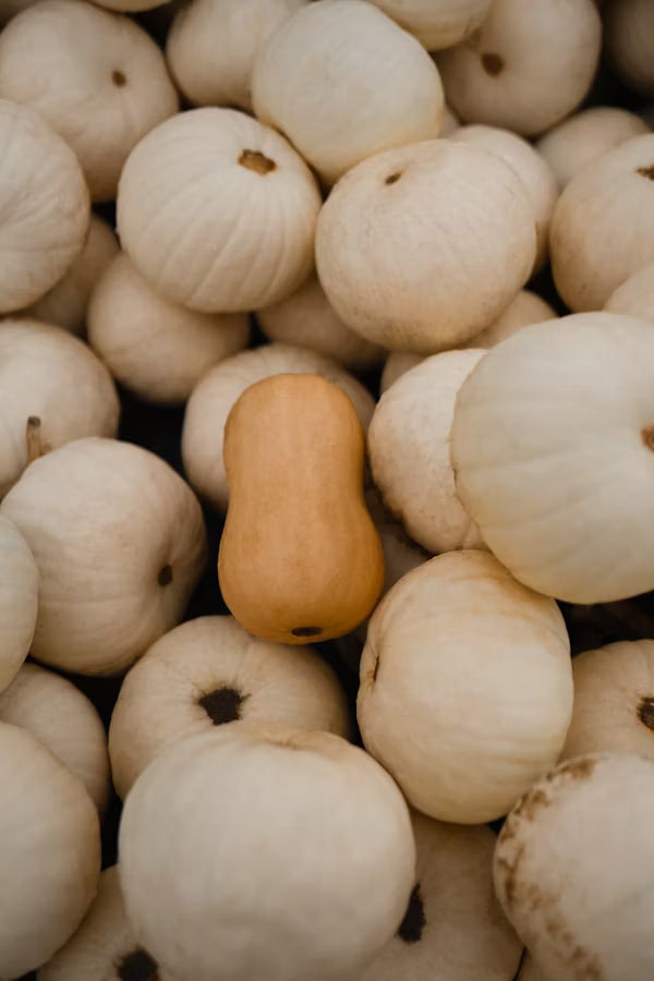 Baby Butternut Pkt