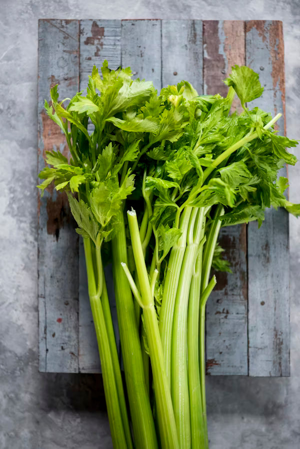 Table Celery Bunch